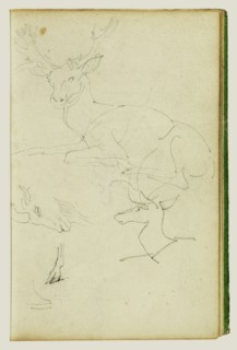 Studies of a Seated Stag, a Fawn, and a Goat Head; Théodore Géricault, French, 1791 - 1824, 1812 - 1814; Graphite; 15.2 x 10.6