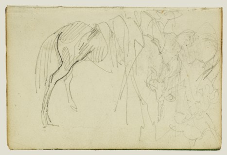 Compositional Study, Horse Studies; Théodore Géricault, French, 1791 - 1824, 1812 - 1814; Graphite; 15.2 x 10.6 cm