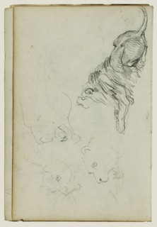 Four Lion Studies; Théodore Géricault, French, 1791 - 1824, 1812 - 1814; Graphite; 15.2 x 10.6 cm, 6 x 4 3,16 in