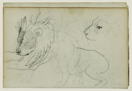 Lion Studies; Théodore Géricault, French, 1791 - 1824, 1812 - 1814; Graphite; 15.2 x 10.6 cm, 6 x 4 3,16 in