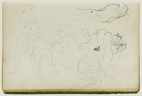 Lion Studies; Théodore Géricault, French, 1791 - 1824, 1812 - 1814; Graphite; 15.2 x 10.6 cm, 6 x 4 3,16 in