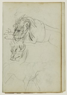 Three Lion Studies; Théodore Géricault, French, 1791 - 1824, 1812 - 1814; Graphite; 15.2 x 10.6 cm, 6 x 4 3,16 in
