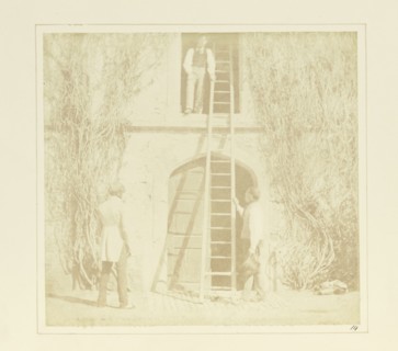 The Ladder; William Henry Fox Talbot, English, 1800 - 1877, Reading, England; April 1, 1844; Salted paper print; 16.9 × 18.1 cm