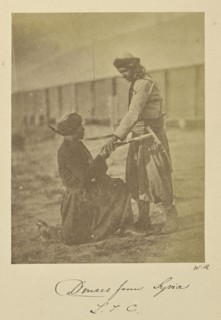 Druses from Syria. L.T.C; Dr. William Robertson, Scottish, 1818 - 1882, Turkey; 1855 - 1856; Albumen silver print