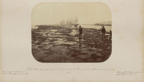 Vista da parte superior do recife de Pernambuco olhando - se para o sul; Marc Ferrez, Brazilian, 1843 - 1923, Recife