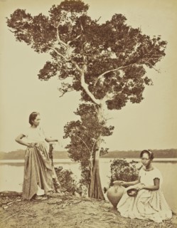 Metis; Albert Frisch, German, 1840 - 1918, Brazil; about 1867; Albumen silver print