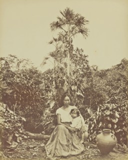 Metis; Albert Frisch, German, 1840 - 1918, Brazil; about 1867; Albumen silver print