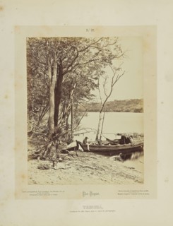Tarumá; Albert Frisch, German, 1840 - 1918, Brazil; about 1867; Albumen silver print