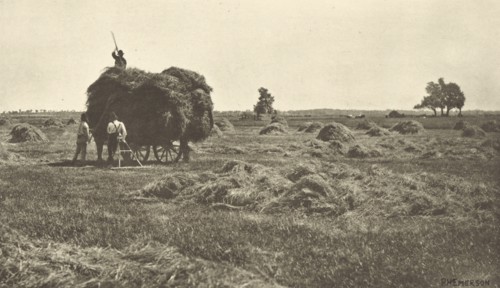 The Haysel; Peter Henry Emerson, British, born Cuba, 1856 - 1936, London, England; 1887; Photogravure; 14.1 x 25.1 cm