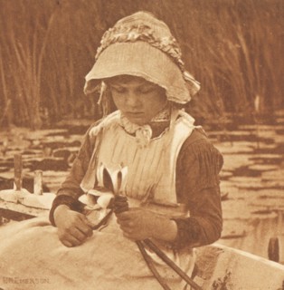 Flowers of the Mere; Peter Henry Emerson, British, born Cuba, 1856 - 1936, London, England; 1887; Photogravure; 7.1 x 7.1 cm