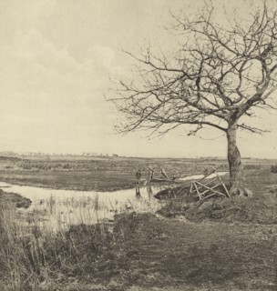 Leafless March. Suffolk; Peter Henry Emerson, British, born Cuba, 1856 - 1936, London, England; 1888; Photogravure; 24.4 x 23.5