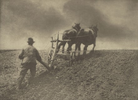 A Stiff Pull. Suffolk; Peter Henry Emerson, British, born Cuba, 1856 - 1936, 1888; Photogravure; 20.8 x 28.6 cm
