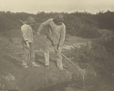 Eel=Picking in Suffolk Waters; Peter Henry Emerson, British, born Cuba, 1856 - 1936, London, England; 1888; Photogravure