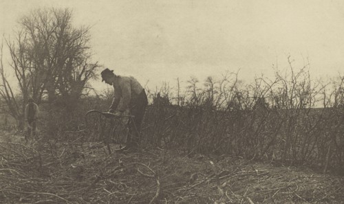 Fencing in Suffolk; Peter Henry Emerson, British, born Cuba, 1856 - 1936, London, England; 1888; Photogravure; 16 x 26.7 cm