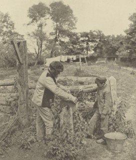 At the Grindstone - a Suffolk Farmyard; Peter Henry Emerson, British, born Cuba, 1856 - 1936, London, England; 1888