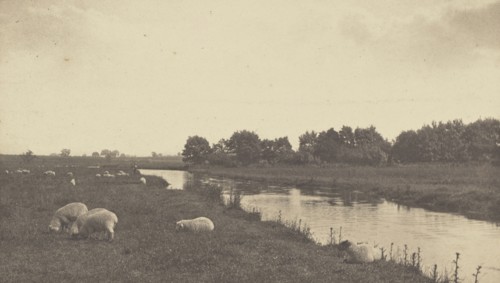 On the River Bure; Peter Henry Emerson, British, born Cuba, 1856 - 1936, London, England; 1886; Platinum print; 13.5 x 23.5 cm