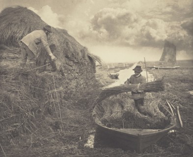 Ricking the Reed; Peter Henry Emerson, British, born Cuba, 1856 - 1936, London, England; 1886; Platinum print; 23.2 x 28.4 cm