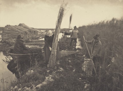 During the Reed-Harvest; Peter Henry Emerson, British, born Cuba, 1856 - 1936, London, England; 1886; Platinum print; 21.4 x 28