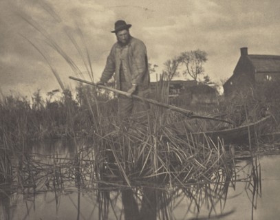 Cutting the Gladdon; Peter Henry Emerson, British, born Cuba, 1856 - 1936, London, England; 1886; Platinum print; 18.7 x 24 cm
