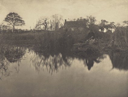 Quanting the Gladdon; Peter Henry Emerson, British, born Cuba, 1856 - 1936, London, England; 1886; Platinum print; 22.1 x 29.2