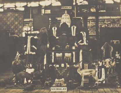 Furs; Nicholay; London, England; 1852; Salted paper print; 15.6 x 20.5 cm, 6 1,8 x 8 1,16 in