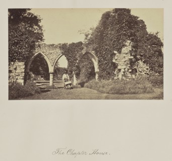 The Chapter House; Bayham, Great Britain; about 1865; Albumen silver print