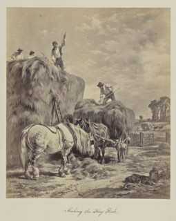 Making the Hay Rick; Attributed to Thomas Ponting, English, active 1860s, about 1865; Albumen silver print
