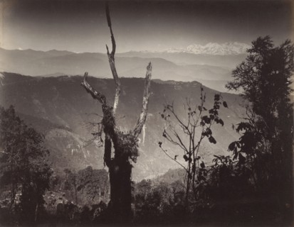 View from Senehal; Samuel Bourne, English, 1834 - 1912, India; about 1867; Albumen silver print