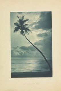 The Orient Sea; Henry W. Cave, English, 1854 - 1913, Sri Lanka; about 1890; Photogravure; 9 × 5.7 cm, 3 9,16 × 2 1,4 in