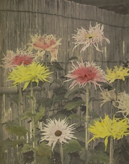 Tsuzure-no-Nishiki; Kazumasa Ogawa, Japanese, 1860 - 1929, Yokohama, Japan; 1896; Hand-colored collotype; 28 x 22.4 cm