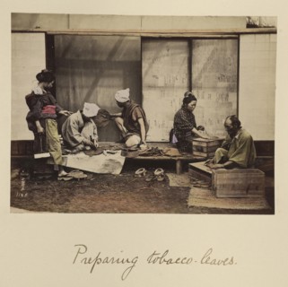 Preparing Tobacco Leaves; Shinichi Suzuki, Japanese, 1835 - 1919, Japan; about 1873 - 1883; Hand-colored Albumen silver print