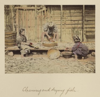 Cleaning and Drying Fish; Shinichi Suzuki, Japanese, 1835 - 1919, Japan; about 1873 - 1883; Hand-colored Albumen silver print
