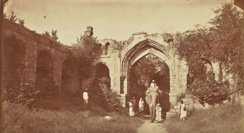 print; Colonel William Willoughby Hooper, British, 1837 - 1912, India; about 1870; Albumen silver print