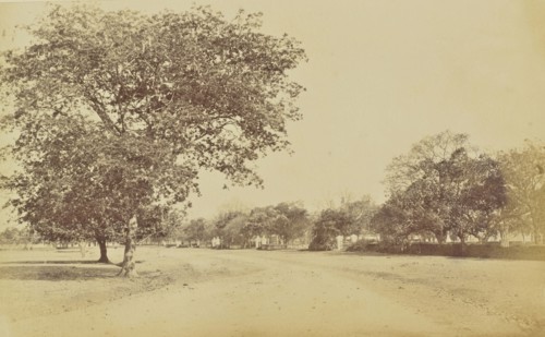 print; Colonel William Willoughby Hooper, British, 1837 - 1912, India; about 1870; Albumen silver print