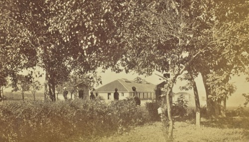 print; Colonel William Willoughby Hooper, British, 1837 - 1912, India; about 1870; Albumen silver print