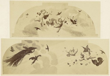 Voussures du plafond; Louis-Émile Durandelle, French, 1839 - 1917, Paris, France; about 1875; Albumen silver print