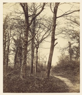Winter; Charles Conway, Jr., British, active 1850, London, England; 1855; Salted paper print; 20.3 x 17.2 cm 8 x 6 3,4 in