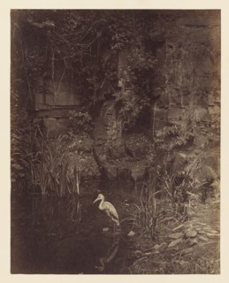 Piscator, No. 2; John Dillwyn Llewelyn, British, 1810 - 1887, London, England; 1856; Albumen silver print