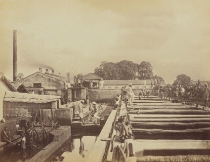 Beating by Machinery; Oscar Mallitte, British, about 1829 - 1905, active Allahabad, India 1870s, Allahabad, India; 1877