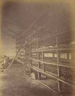 Drying house, Indigo cakes on Shelves, Oscar Mallitte, British, about 1829 - 1905, active Allahabad, India 1870s, Allahabad