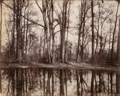 Saint-Cloud; Eugène Atget, French, 1857 - 1927, Saint-Cloud, France; 1922; Albumen silver print