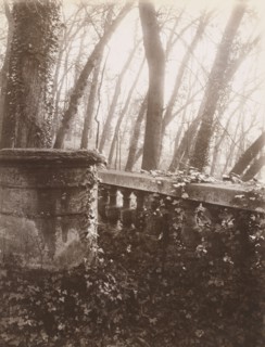 Saint-Cloud Park, Paris; Eugène Atget, French, 1857 - 1927, Saint-Cloud, France; 1924; Albumen silver print