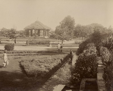 Peile Gardens; India; 1886 - 1889; Albumen silver print