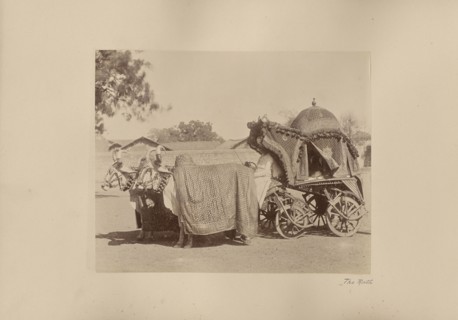 The Rath; India; 1886 - 1889; Albumen silver print