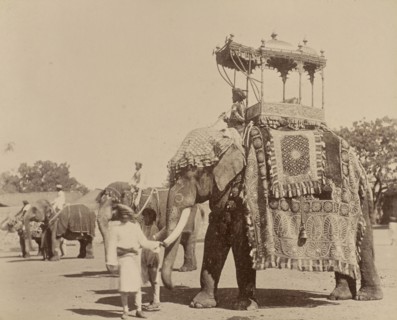 Moti; India; 1886 - 1889; Albumen silver print