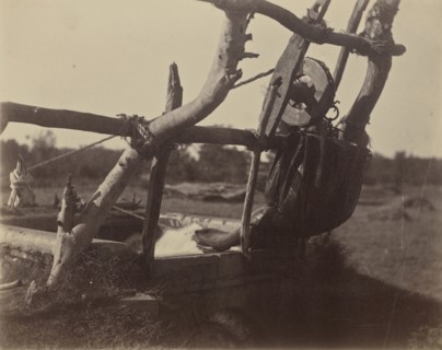 Kos Discharging Water - Guzarat; India; 1886 - 1889; Albumen silver print
