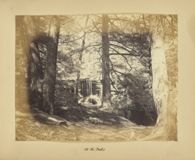 At the Falls; Possibly Alfred Booth, English, 1834 - 1914, and Thomas E. Jevons, American, born England, 1841 - 1919, New York