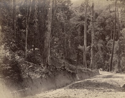 Malay Peninsula; Unknown maker; Malaysia; 1870s - 1880s; Albumen silver print