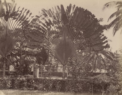 Malay; Unknown maker; Malaysia; 1870s - 1880s; Albumen silver print