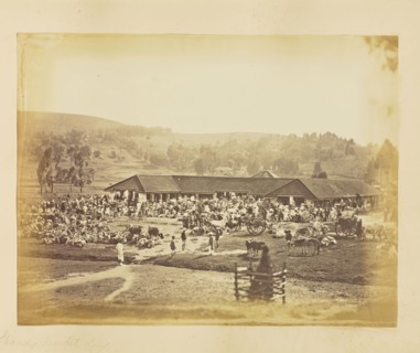 print; Colonel William Willoughby Hooper, British, 1837 - 1912, India; 1873